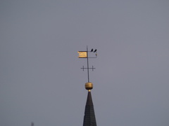 Vögel auf dem Kirchturm 